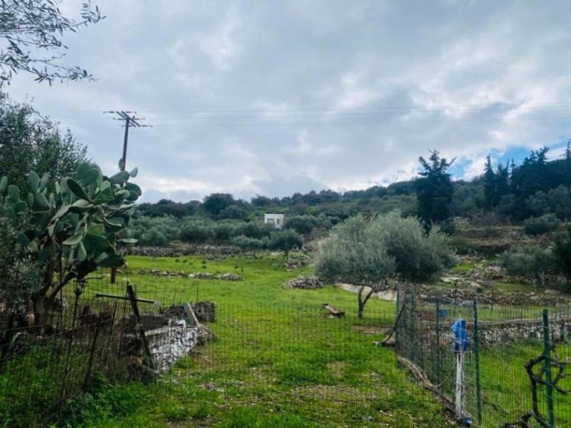 Filippos Schönes Grundstück zum Verkauf im Dorf Filippos, Kreta Grundstück kaufen